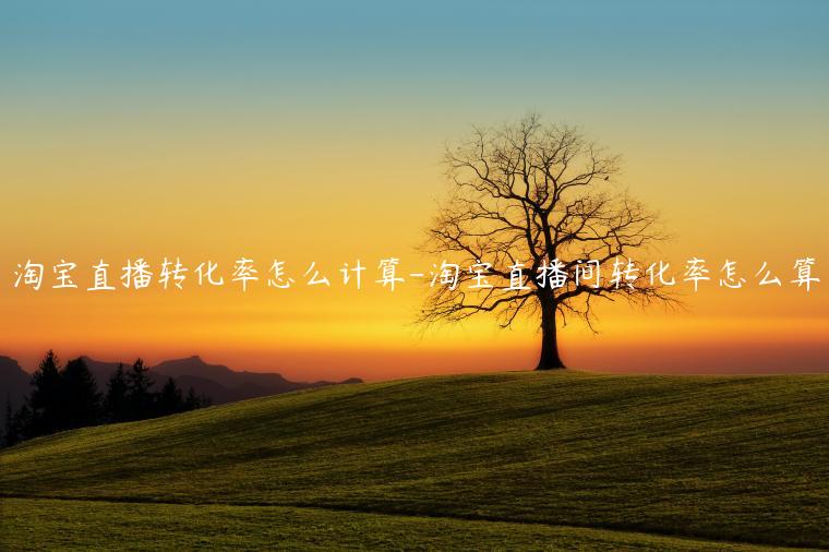 淘寶直播轉(zhuǎn)化率怎么計(jì)算-淘寶直播間轉(zhuǎn)化率怎么算